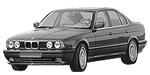 BMW E34 P0496 Fault Code