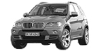 BMW E70 P0496 Fault Code