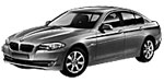 BMW F10 P0496 Fault Code